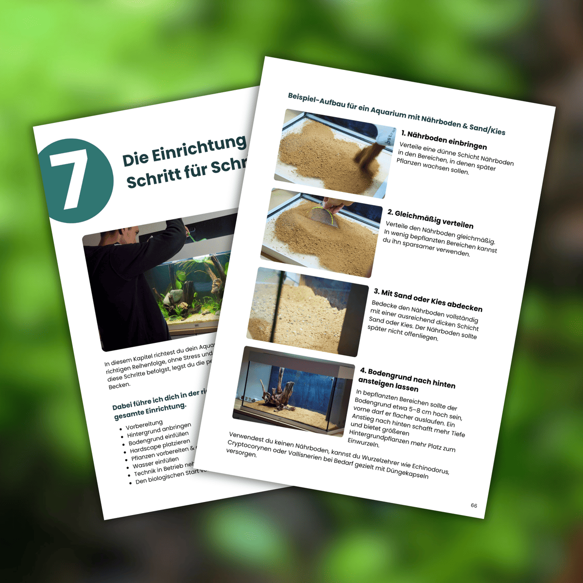 Aquarium Guide PRO – Schritt-für-Schritt-Anleitung zur Einrichtung eines Aquariums