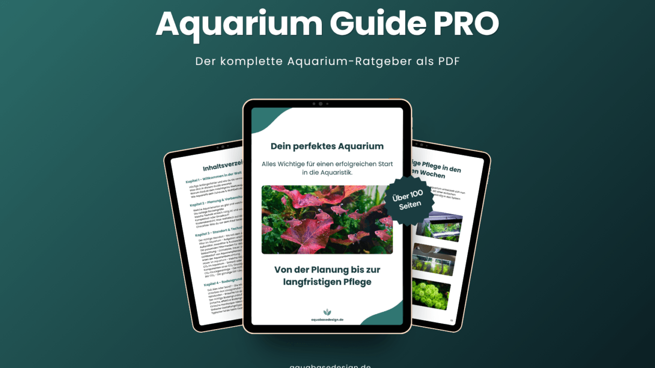 Aquarium Guide PRO als PDF-Ratgeber mit über 100 Seiten – digitales Aquarium-E-Book von AquabaseDesign