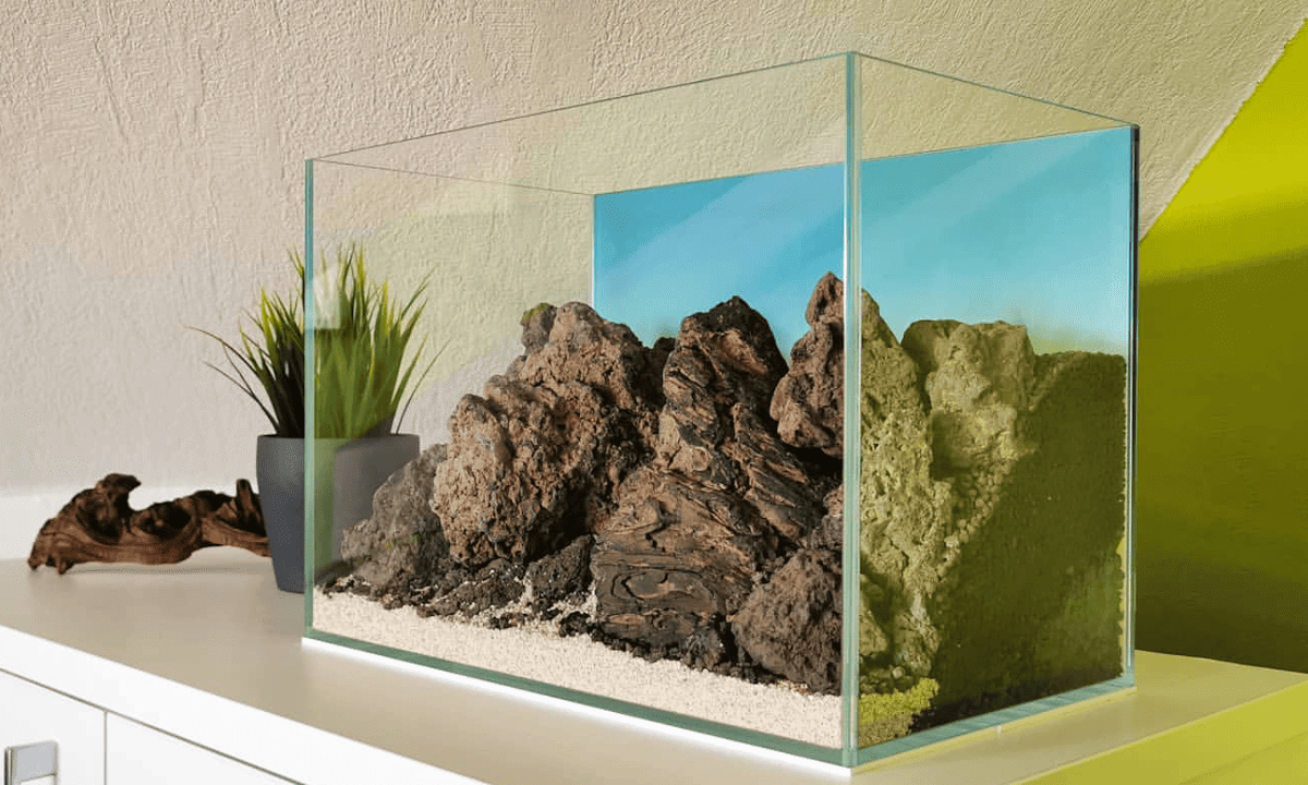 Nano-Aquarium mit nach hinten ansteigendem Bodengrund und aufgebautem Hardscape