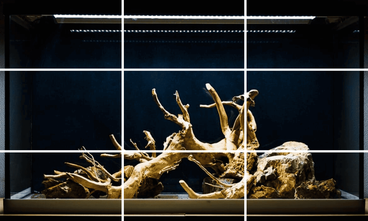 Aquarium-Hardscape mit eingezeichnetem Raster zur Veranschaulichung der Drittelregel