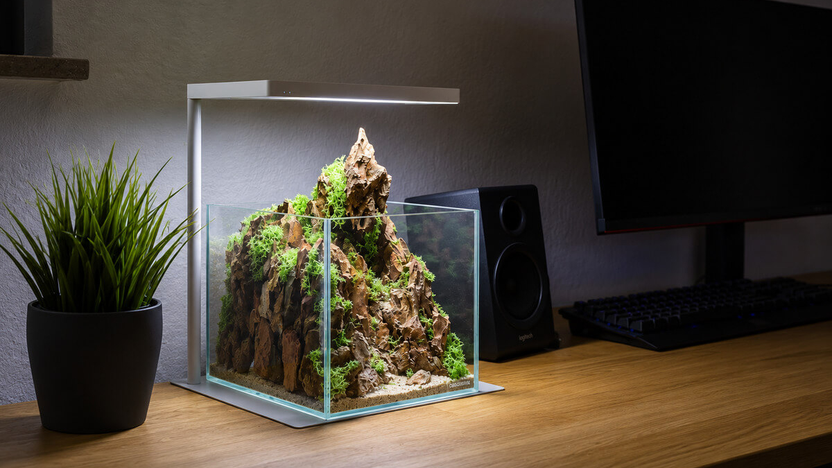 5-Liter-Mini-Terrarium mit Drachensteinen und Kunstmoos auf einem Schreibtisch