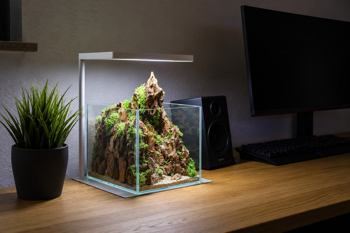 5-Liter-Mini-Terrarium mit Drachensteinen und Kunstmoos auf einem Schreibtisch