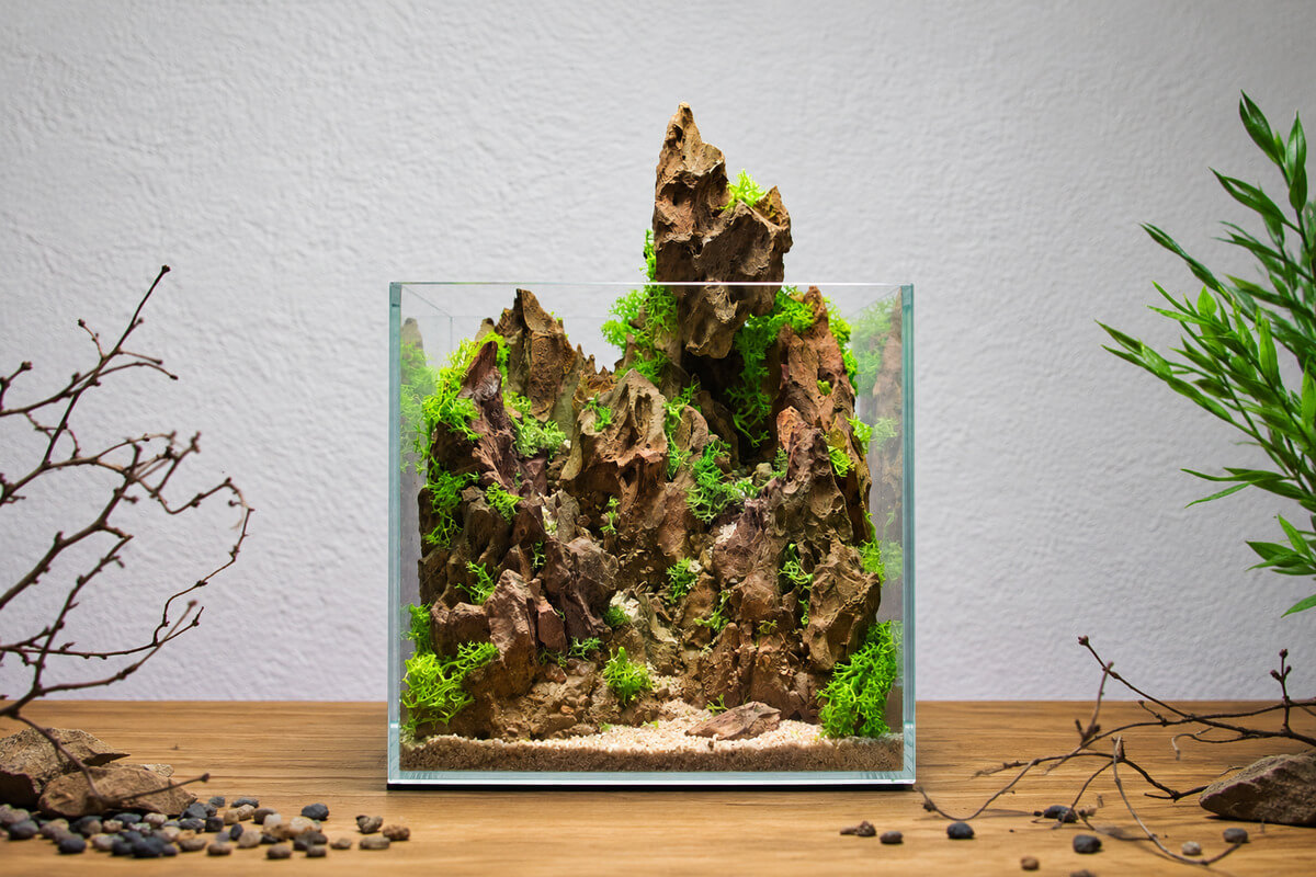 Frontansicht eines 5-Liter-Terrariums mit felsigem Drachenstein-Aufbau und grünem Kunstmoos