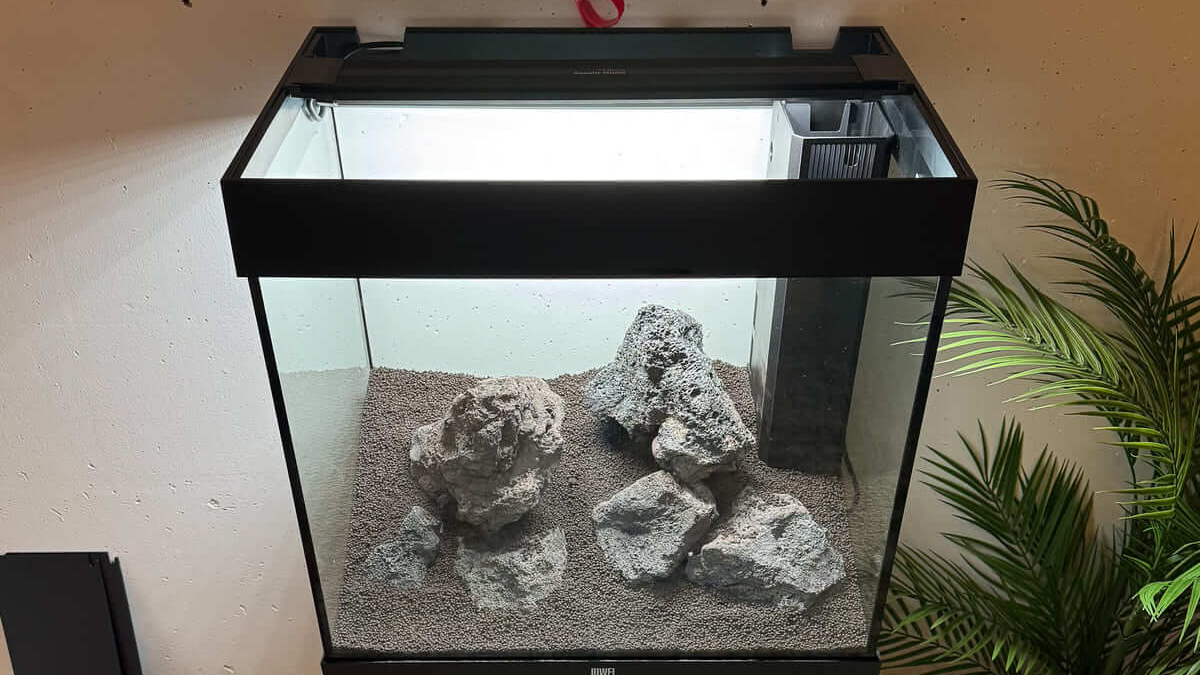 Neu eingerichtetes Aquarium mit Bodengrund, Steinen und eingebautem Innenfilter