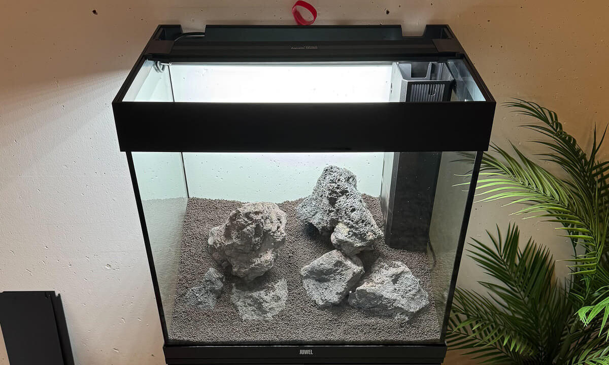 Neu eingerichtetes Aquarium mit Bodengrund, Steinen und eingebautem Innenfilter