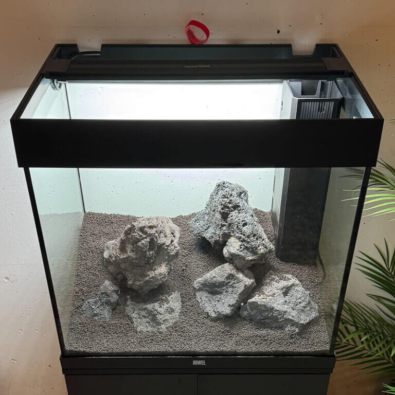 Neu eingerichtetes Aquarium mit Bodengrund, Steinen und eingebautem Innenfilter
