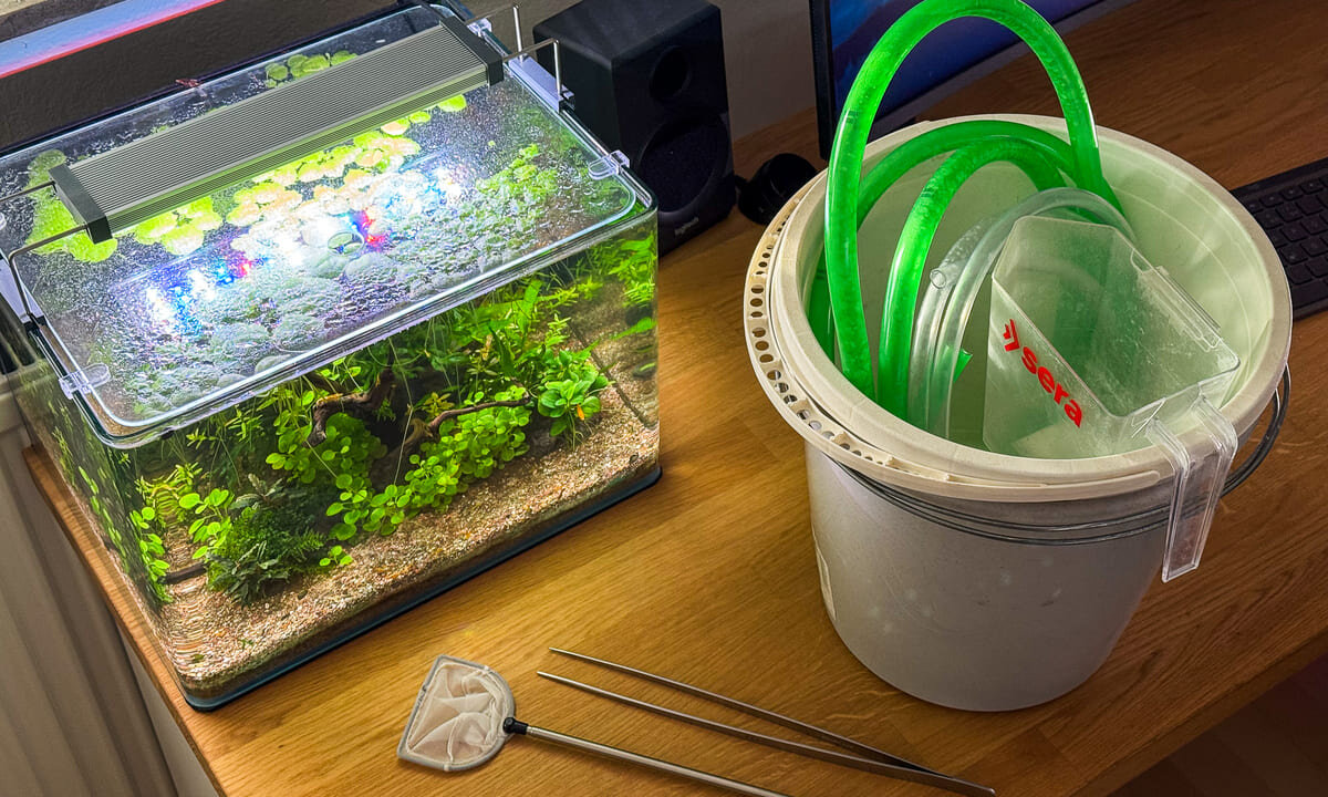 Aquarium-Zubehör für Anfänger mit Eimer, Schlauch, Kescher und Pinzette