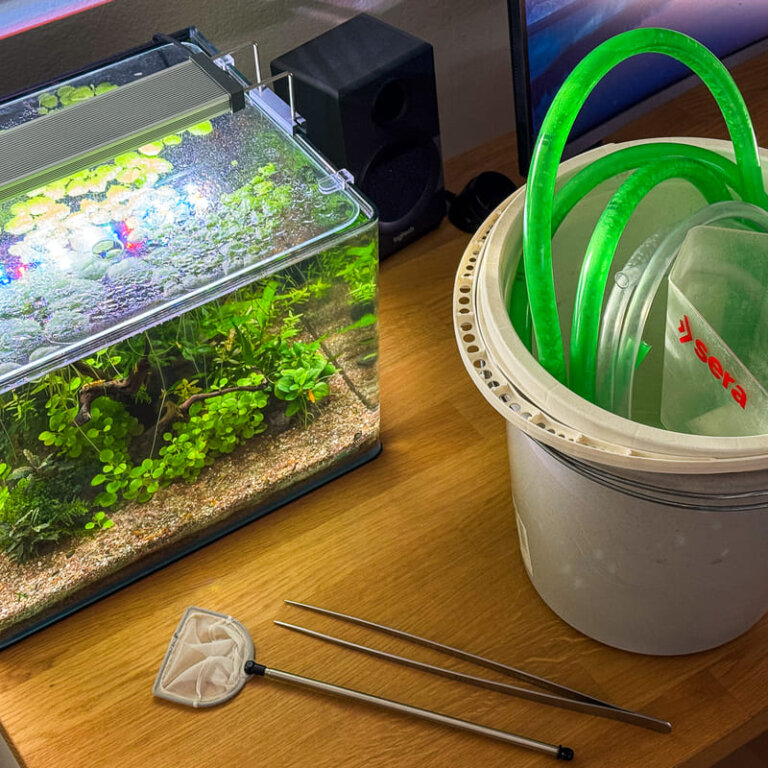 Aquarium-Zubehör für Anfänger mit Eimer, Schlauch, Kescher und Pinzette