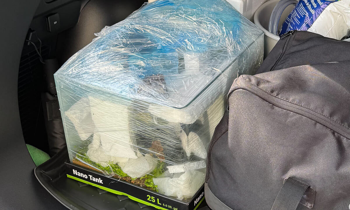 Für den Transport gesichertes Nano-Aquarium mit Folie und Styropor im Auto