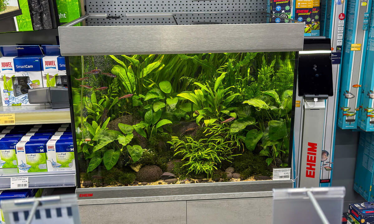 EHEIM proxima 175 als bepflanztes Aquarium