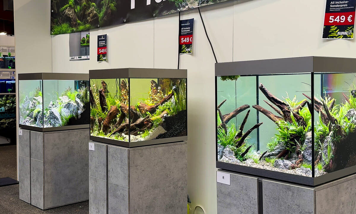 Mehrere eingerichtete Fluval Siena Aquarien