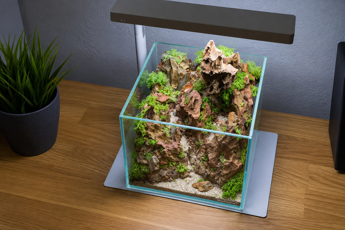 Mini-Terrarium mit Drachenstein-Aufbau und Kunstmoos aus schräger Draufsicht