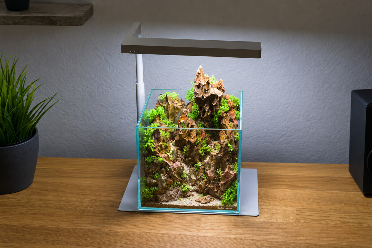 Beleuchtetes Mini-Terrarium mit Drachensteinen und Kunstmoos auf einem Schreibtisch
