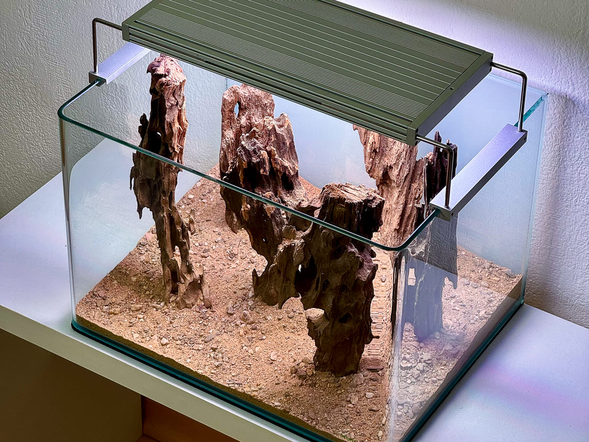 Schrägansicht des unbepflanzten Nano-Aquascapes mit senkrecht angeordnetem Dragonwood und hellem Bodengrund.