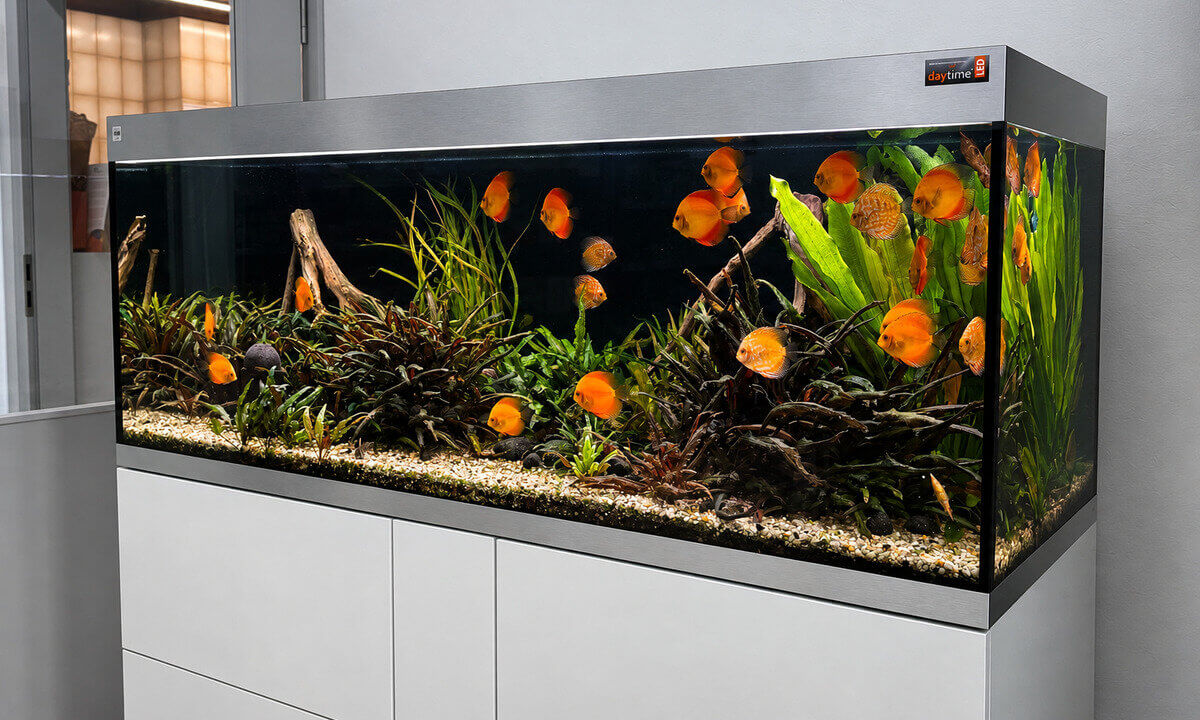 OASE HighLine 600 als großes eingerichtetes Diskus-Aquarium