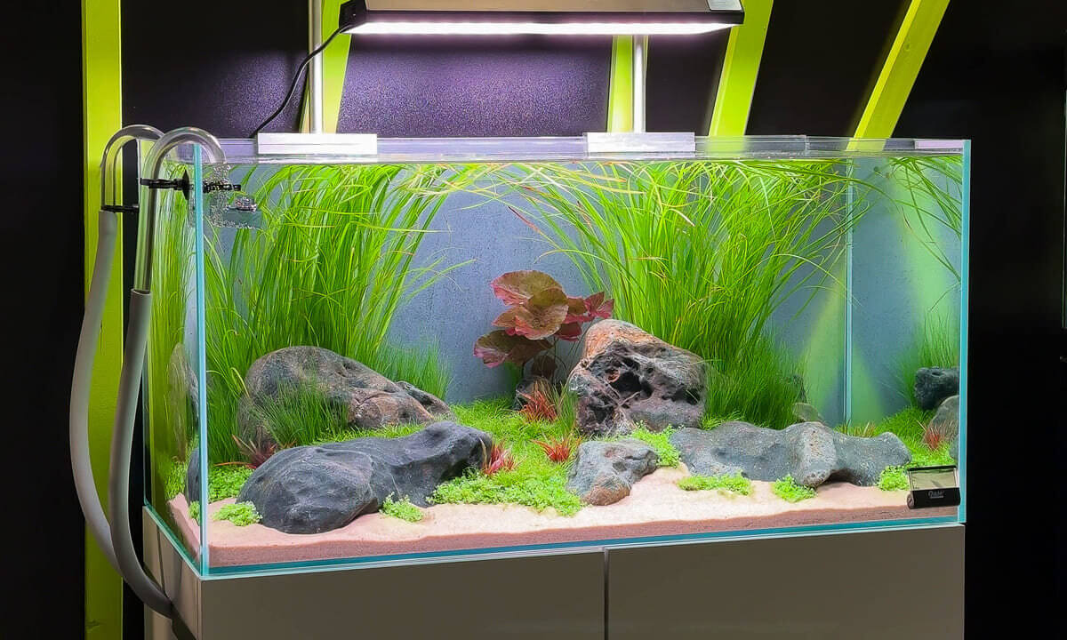 Eingerichtetes Aquascape im OASE ScaperLine 90