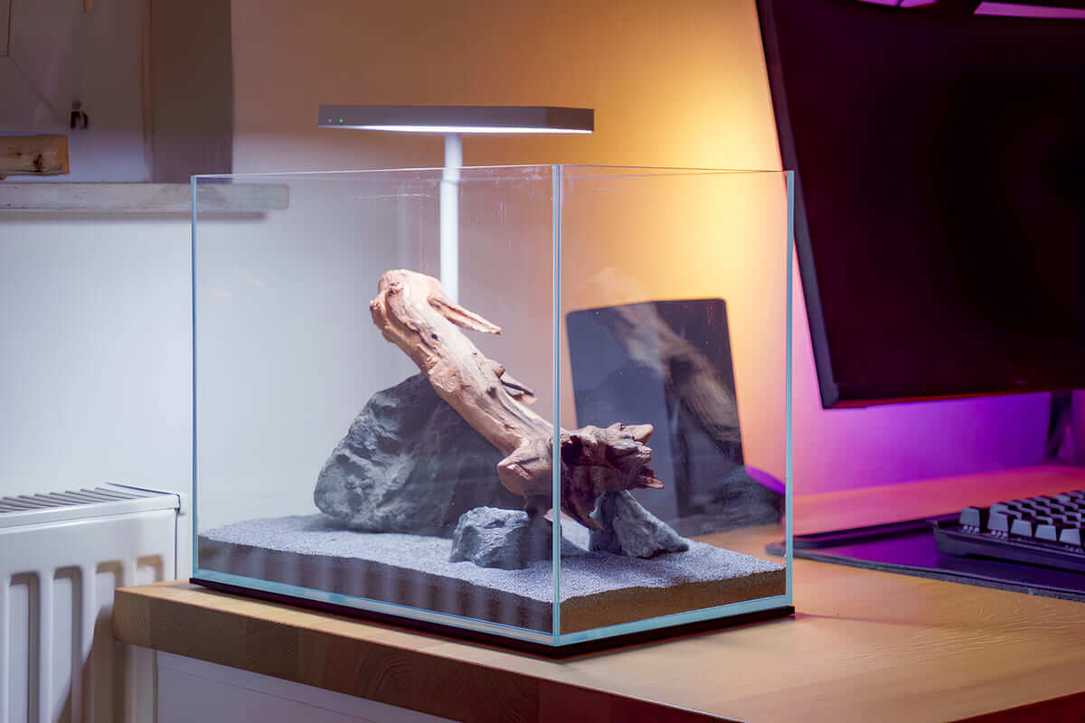 Unbepflanztes Mini-M-Aquarium mit Titan Stones, einer einzelnen Wurzel und dunklem Sand-Bodengrund vor der Einrichtung.